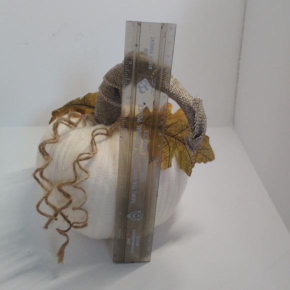 Halloween Pumpkin decor for that fall themed table scape or decor. - Picture 6 of 8